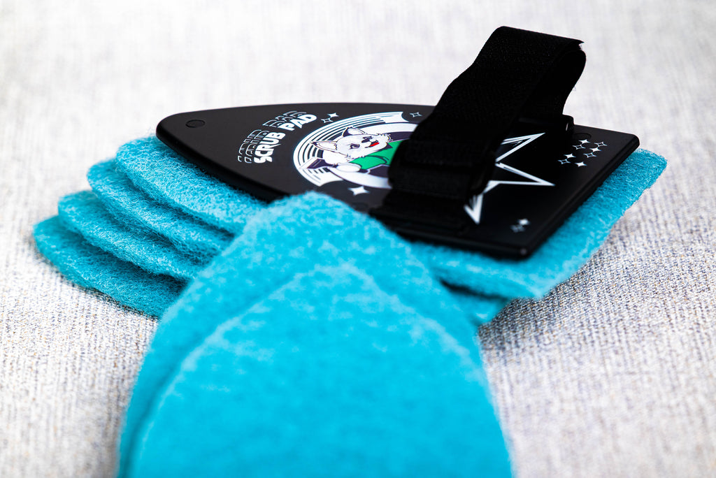 Scrub Pad niebieski ścierny – zestaw 1 scrubber + 5 zapasowych sztuk